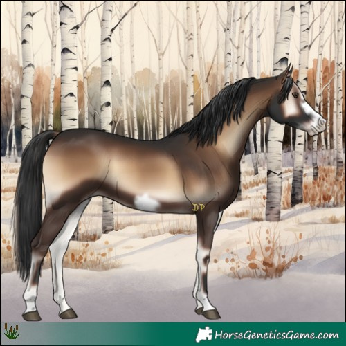 Horse Color:Liver Red Onyx Frame 