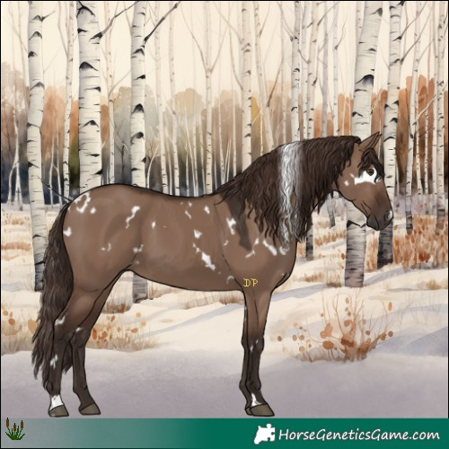 Horse Color:White Spotted Liver Red Dun 
