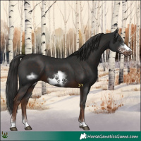 Horse Color:Liver Chestnut Frame 
