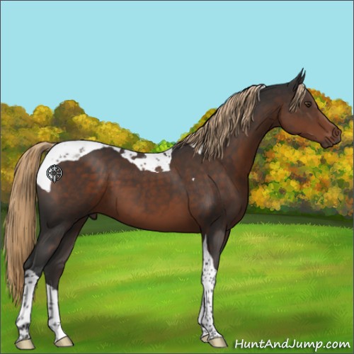 Horse Color:Liver Chestnut Tobiano 