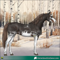 Horse Color:White Spotted Liver Chestnut 