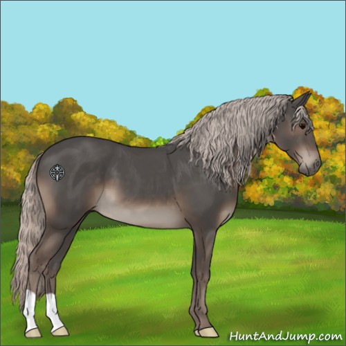 Horse Color:Silver Black 