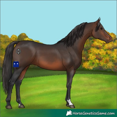 Horse Color:Brown 