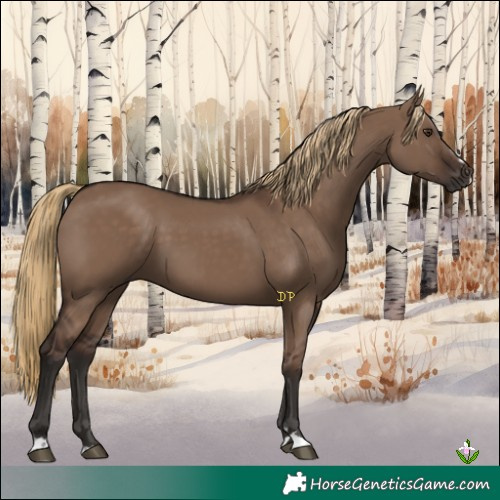Horse Color:Liver Red Dun 