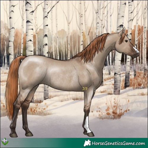 Horse Color:Liver Red Dun Rabicano 
