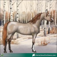 Horse Color:Liver Red Dun Rabicano 