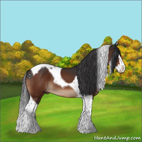 Horse Color:Brown Splash Tobiano 