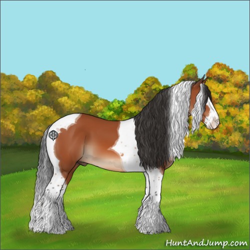 Horse Color:Bay Splash Tobiano 