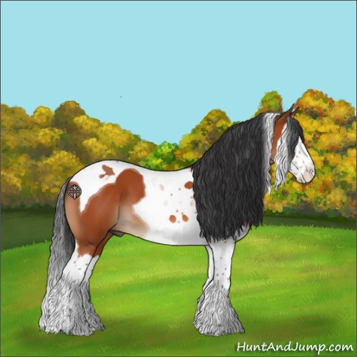 Horse Color:Brown Splash Tobiano 