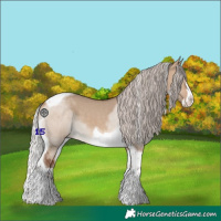 Horse Color:Silver Brown Dun Splash Tobiano 