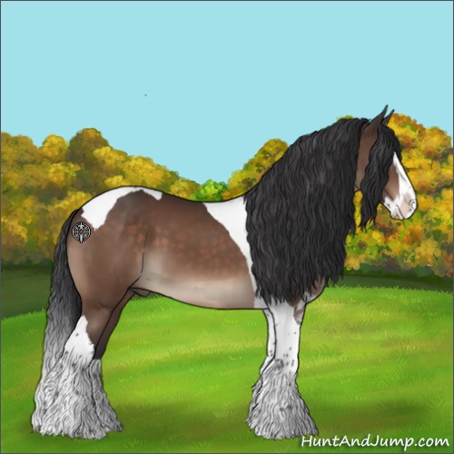 Horse Color:Brown Splash Tobiano 