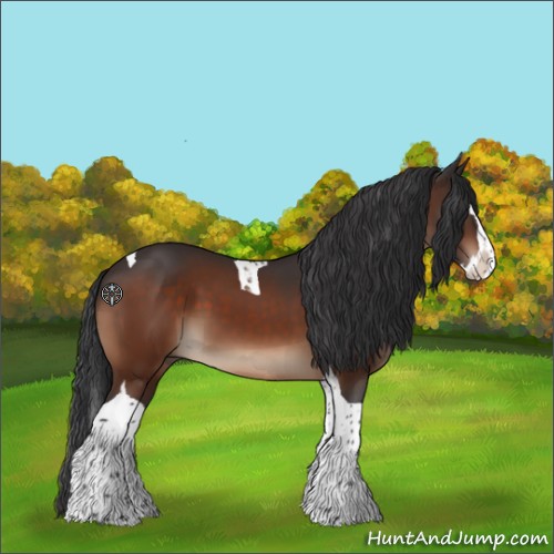 Horse Color:Bay Splash Tobiano 