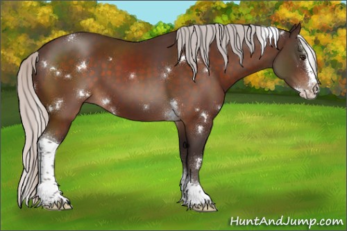 Horse Color:White Spotted Silver Brown Splash Tobiano 