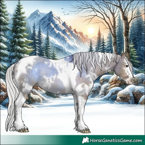 Horse Color:White Spotted Silver Brown Dun Splash Tobiano Appaloosa Rabicano 