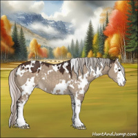 Horse Color:White Spotted Silver Brown Dun Sabino 