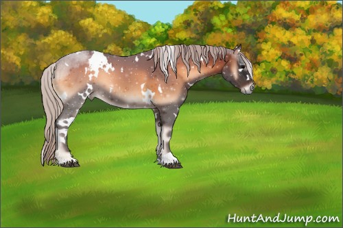 Horse Color:White Spotted Silver Blue Onyx 