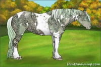 Horse Color:Watercolor White Spotted Chocolate Palomino Ice Pearl Dun Tobiano 