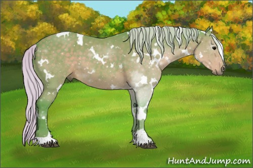 Horse Color:Watercolor White Spotted Silver Black Sabino 