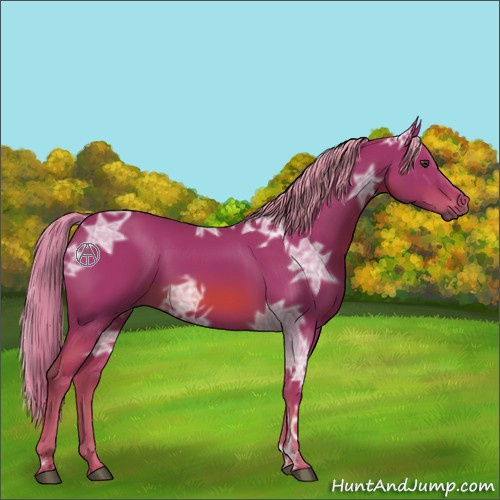 Horse Color:Watercolor Chestnut Ice