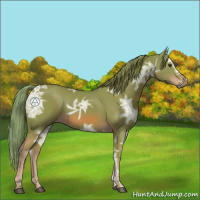 Horse Color:Watercolor Chestnut Ice 