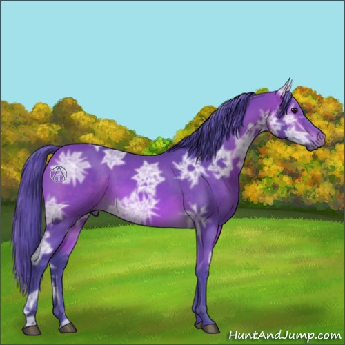 Horse Color:Watercolor Bay Ice 