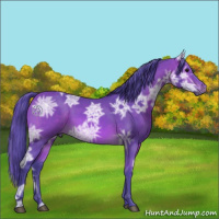 Horse Color:Watercolor Bay Ice 