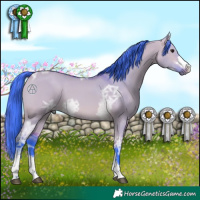 Horse Color:Watercolor Bay Ice Dun 