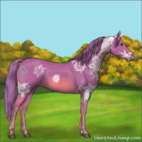 Horse Color:Watercolor Chestnut Ice