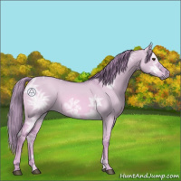 Horse Color:Watercolor Red Dun Ice 