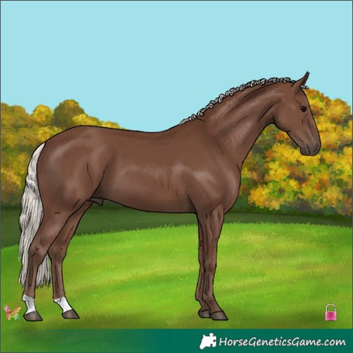 Horse Color:Silver Black 