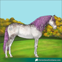 Horse Color:Painted Silver Blue Onyx Ice Rabicano 