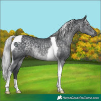 Horse Color:Silver Black Chinchilla Tobiano 