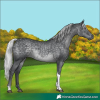 Horse Color:Silver Black Chinchilla Tobiano 
