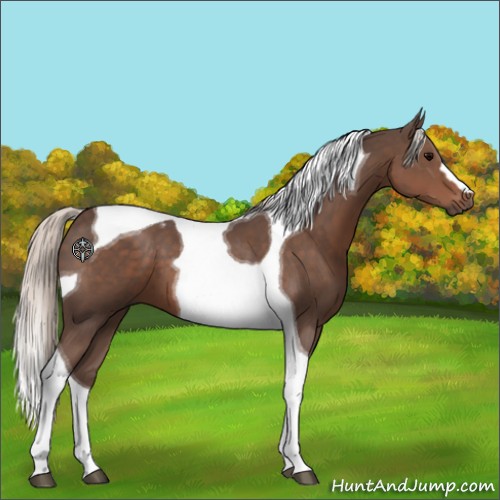 Horse Color:Silver Black Tobiano 