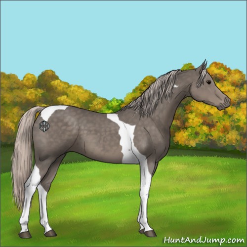 Horse Color:Silver Black Tobiano 