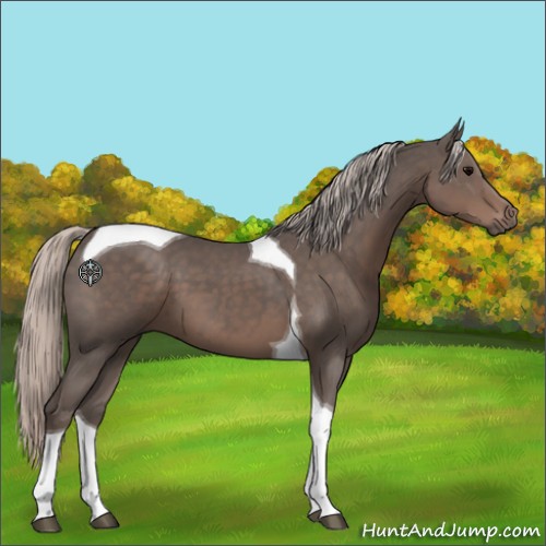 Horse Color:Silver Black Tobiano 