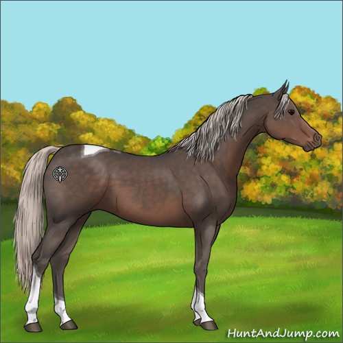 Horse Color:Silver Black Tobiano 