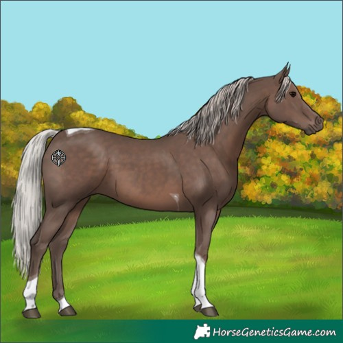 Horse Color:Silver Black Tobiano