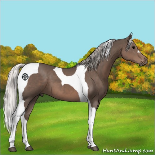 Horse Color:Silver Black Tobiano 