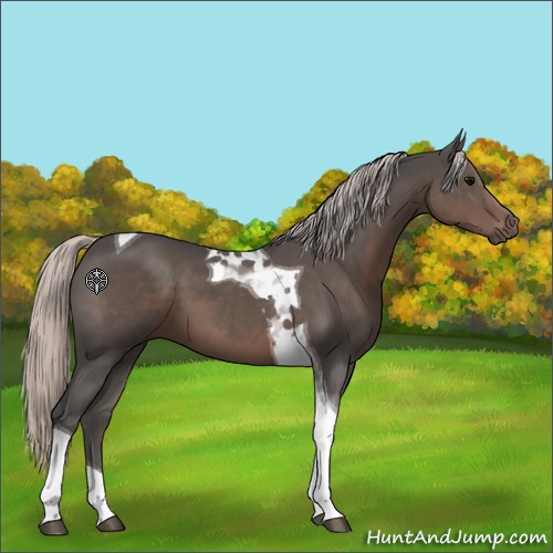 Horse Color:Silver Black Tobiano 
