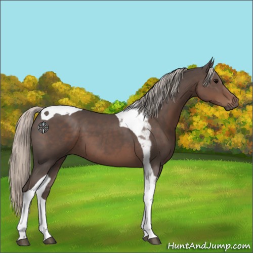 Horse Color:Silver Black Tobiano 