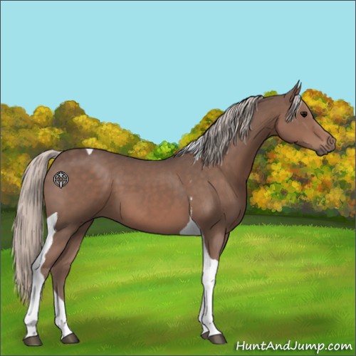 Horse Color:Silver Black Tobiano 