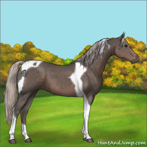 Horse Color:Silver Black Tobiano 