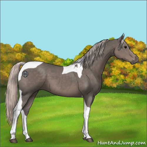 Horse Color:Silver Black Tobiano 