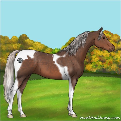 Horse Color:Silver Black Tobiano 
