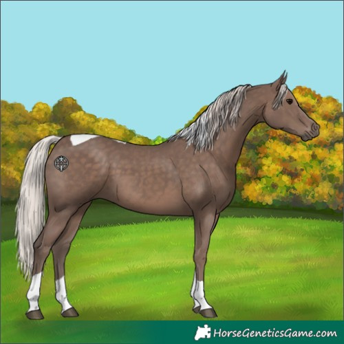 Horse Color:Silver Black Tobiano 