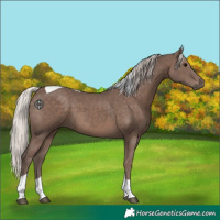 Horse Color:Silver Black Tobiano 