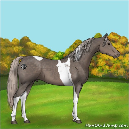 Horse Color:Silver Black Tobiano 