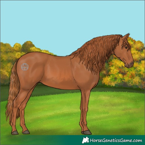 Horse Color:Chestnut 