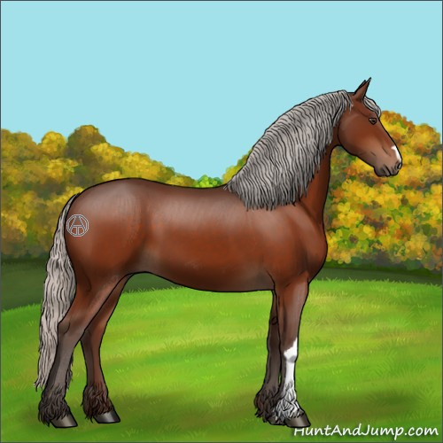 Horse Color:Silver Brown 